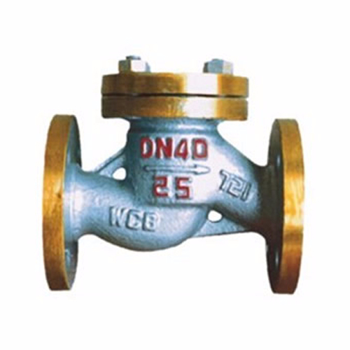 Lift check valve for H41B ammonia