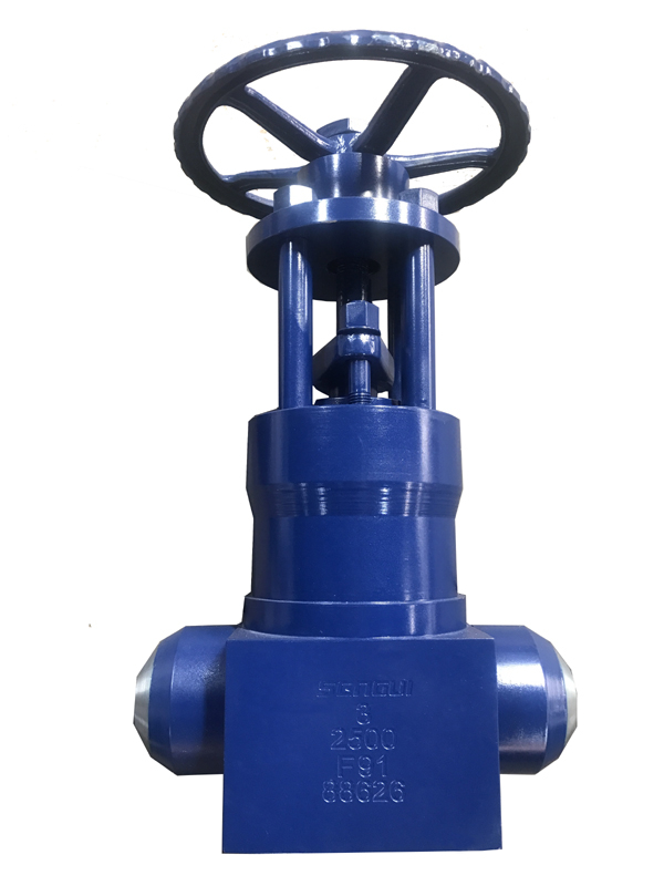 Forged steel high temperature and high pressure gate valve